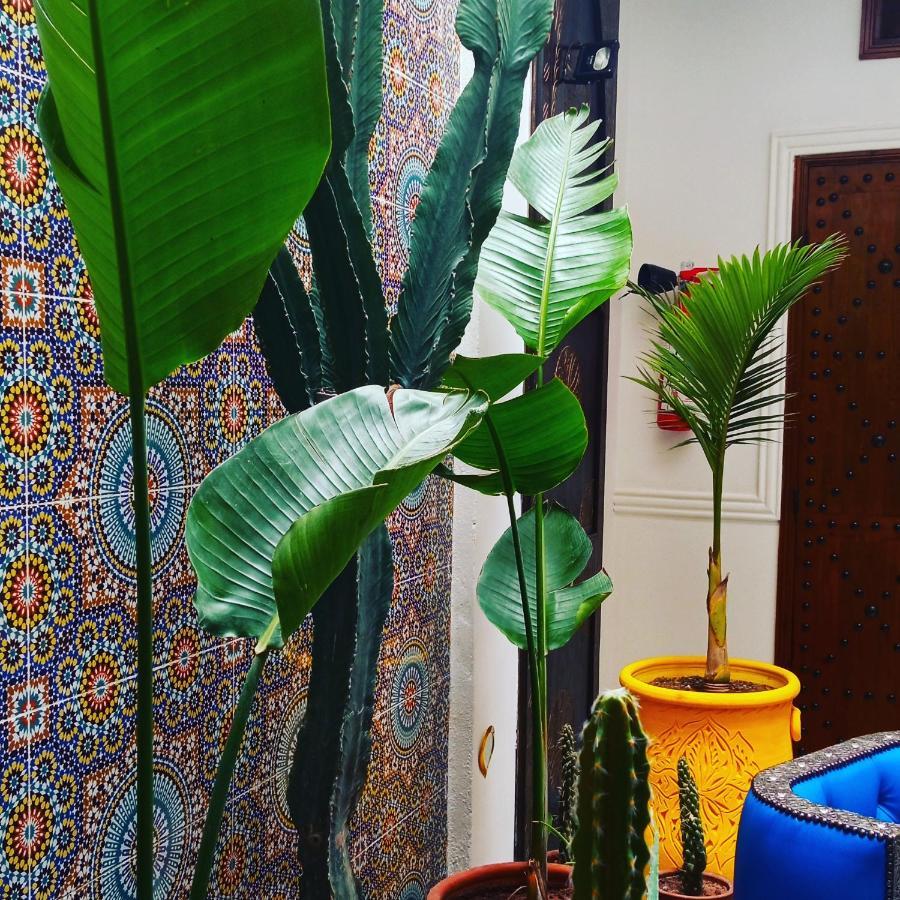 Riad Heklek Марракеш Екстер'єр фото
